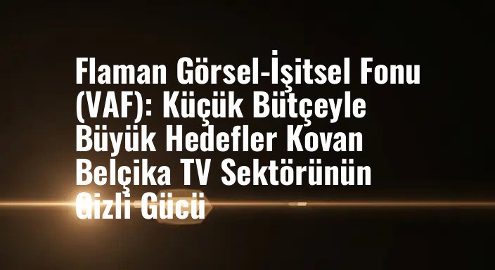 Flaman Görsel-İşitsel Fonu (VAF): Küçük Bütçeyle Büyük Hedefler Kovan Belçika TV Sektörünün Gizli Gücü