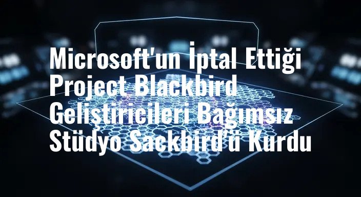Microsoft'un İptal Ettiği Project Blackbird Geliştiricileri Bağımsız Stüdyo Sackbird'ü Kurdu